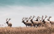 Stand Out from the Crowd: Attracting & Retaining in 2023 and beyond